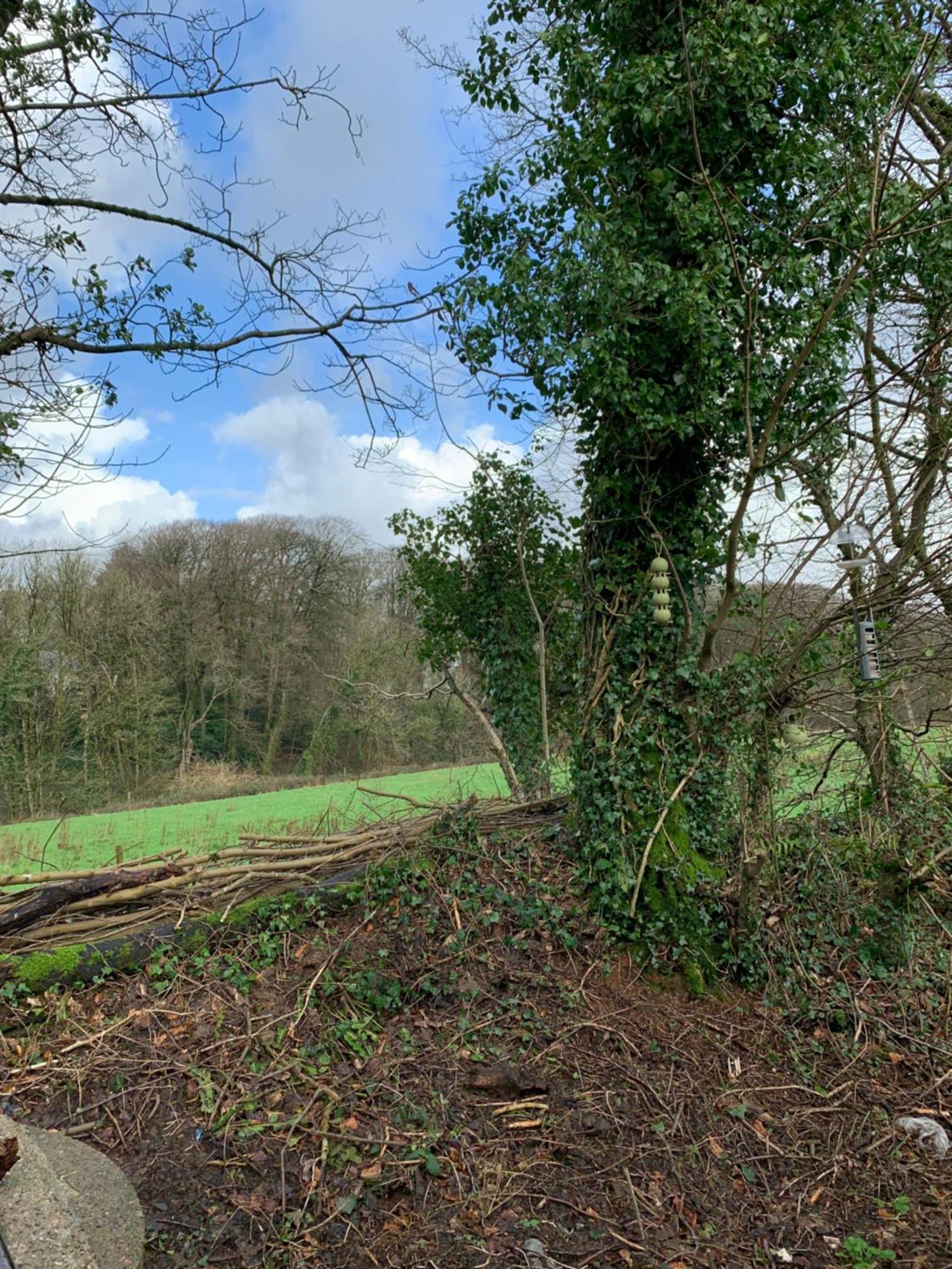 4 Devon Country, Bideford Bay Holiday Park Bucks Mills Exterior foto